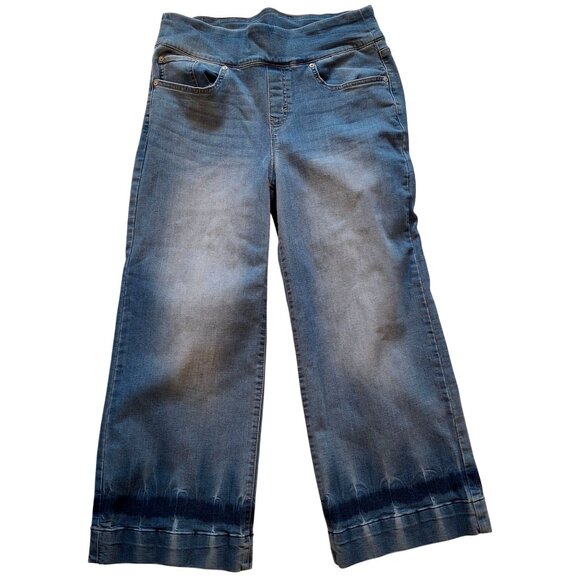 Style & Co Womens Wide Crop Jeans Blue Denim Size 16 Boho Classic - Picture 1 of 9